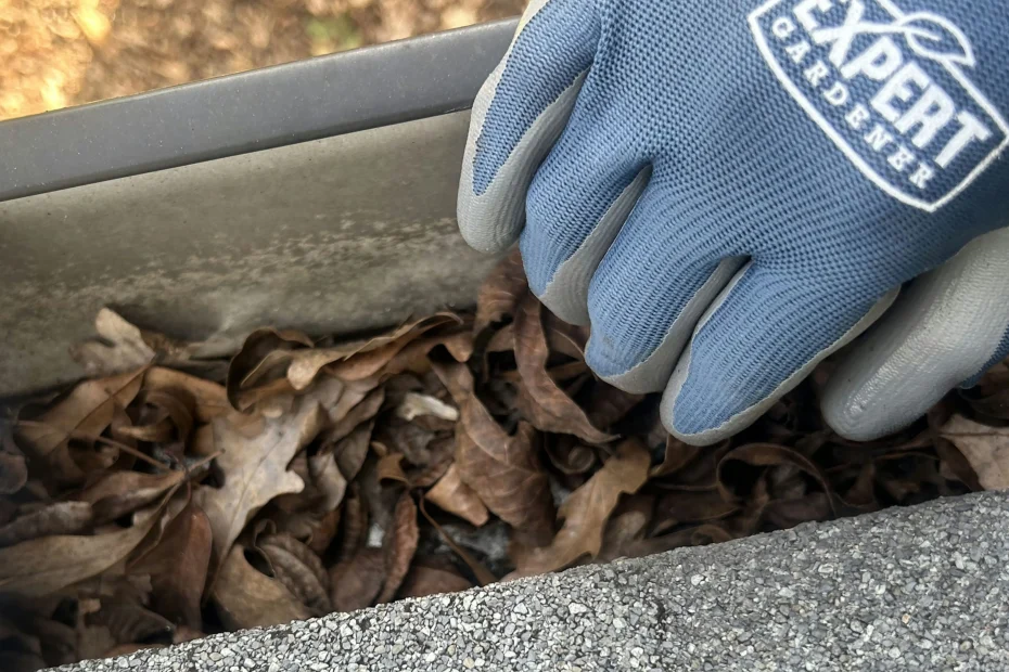 Gutter Cleaning Weddington